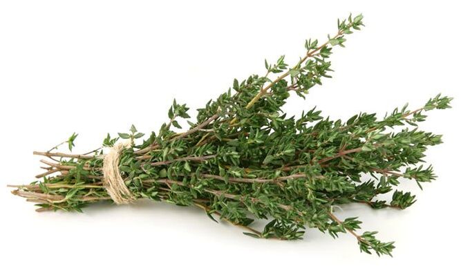 Tomillo para aumentar o pene