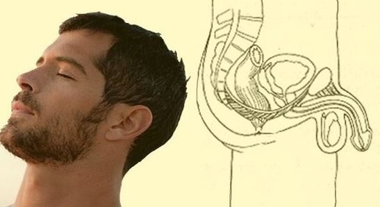 Exercicio de estiramento do pene